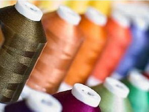 经济下行压力下的中国纺织业 针纺织品销售的困境与求变之路